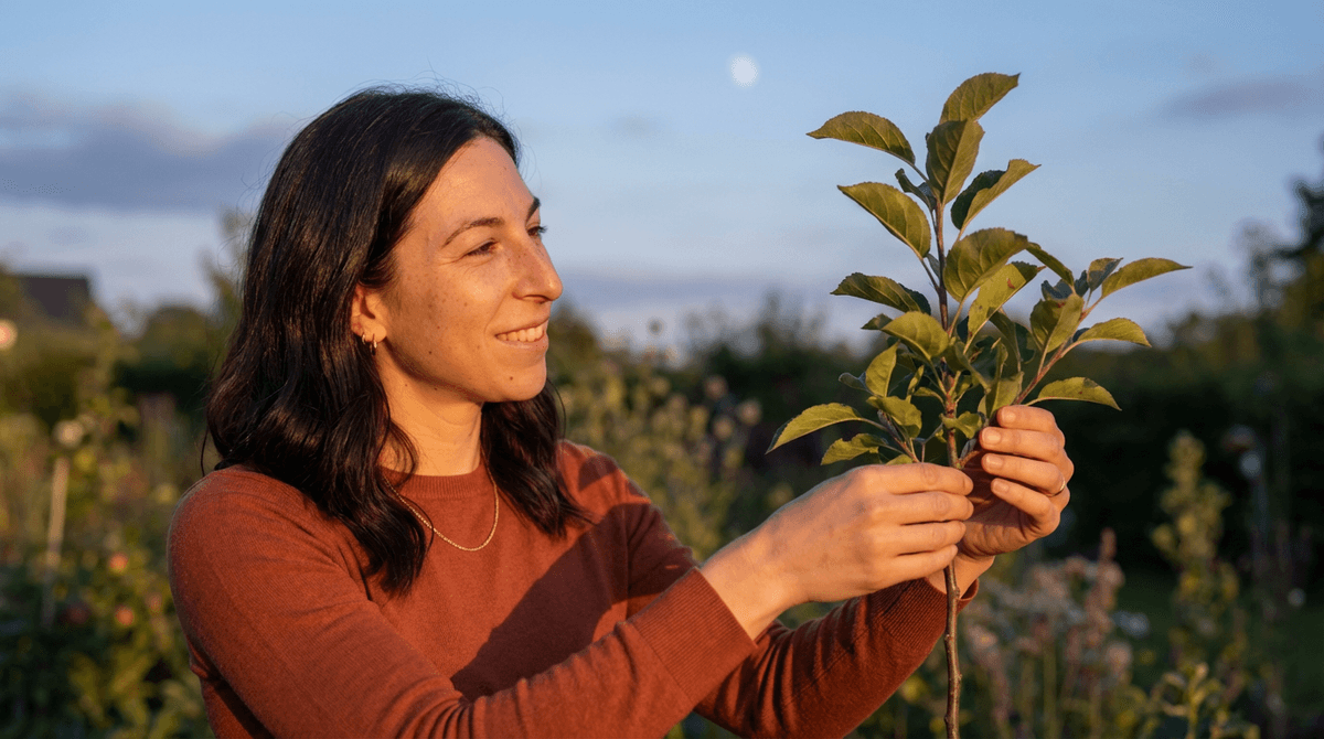 Посадка деревьев по Луне